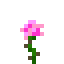 Pink Rose в Майнкрафт