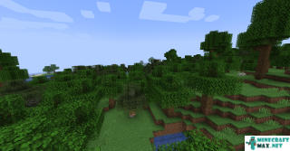 Forest in Minecraft