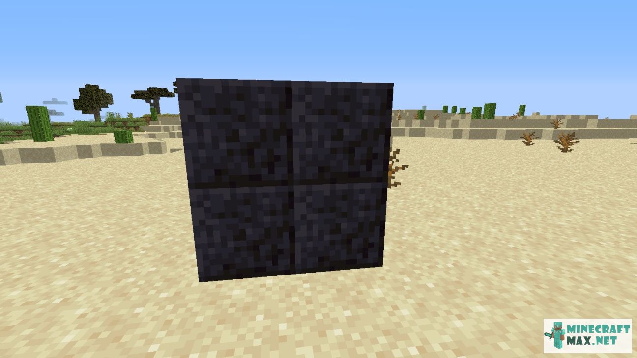 Black gem in Minecraft | Screenshot 2935