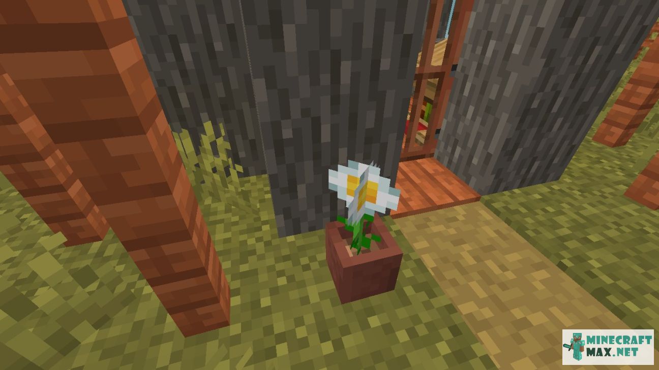 Modem in Minecraft | Screenshot 2893