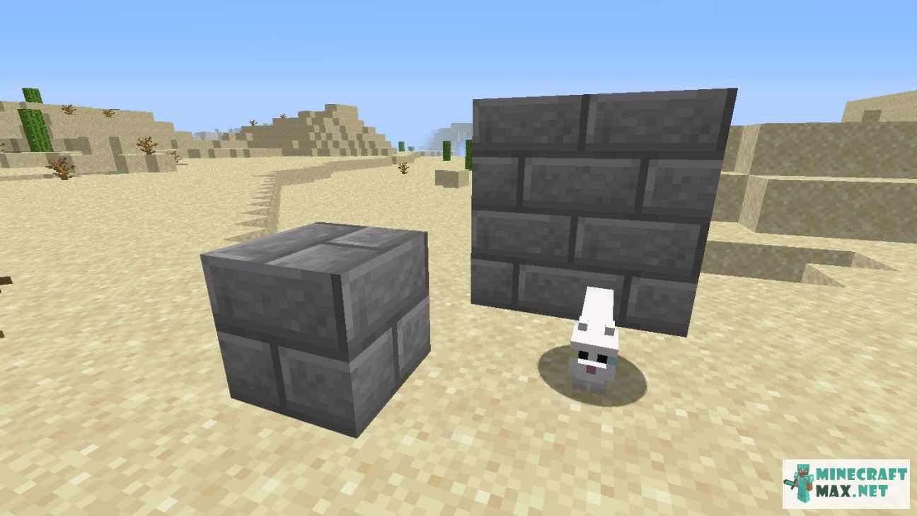 Black gem in Minecraft | Screenshot 59
