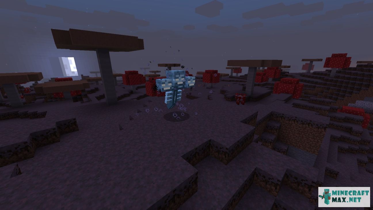 Wither in Minecraft | Screenshot 1