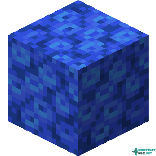 Tube Coral Block in Minecraft