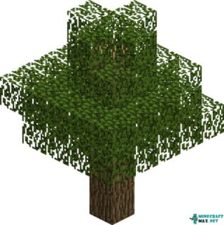 Oak (tree) in Minecraft