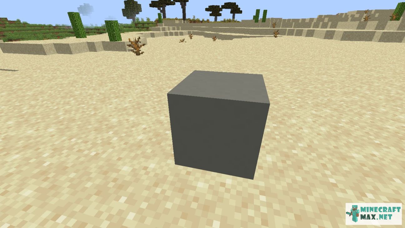 Black gem in Minecraft | Screenshot 2710