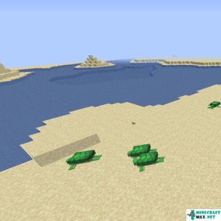 Beach in Minecraft