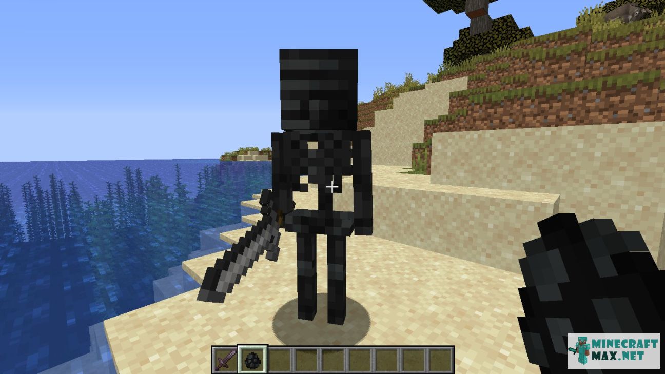 Black gem in Minecraft | Screenshot 832