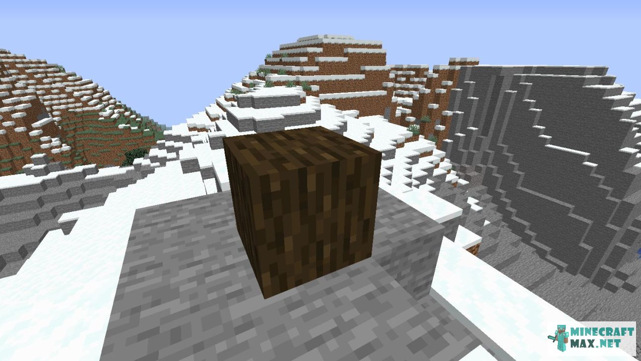 Black gem in Minecraft | Screenshot 3043