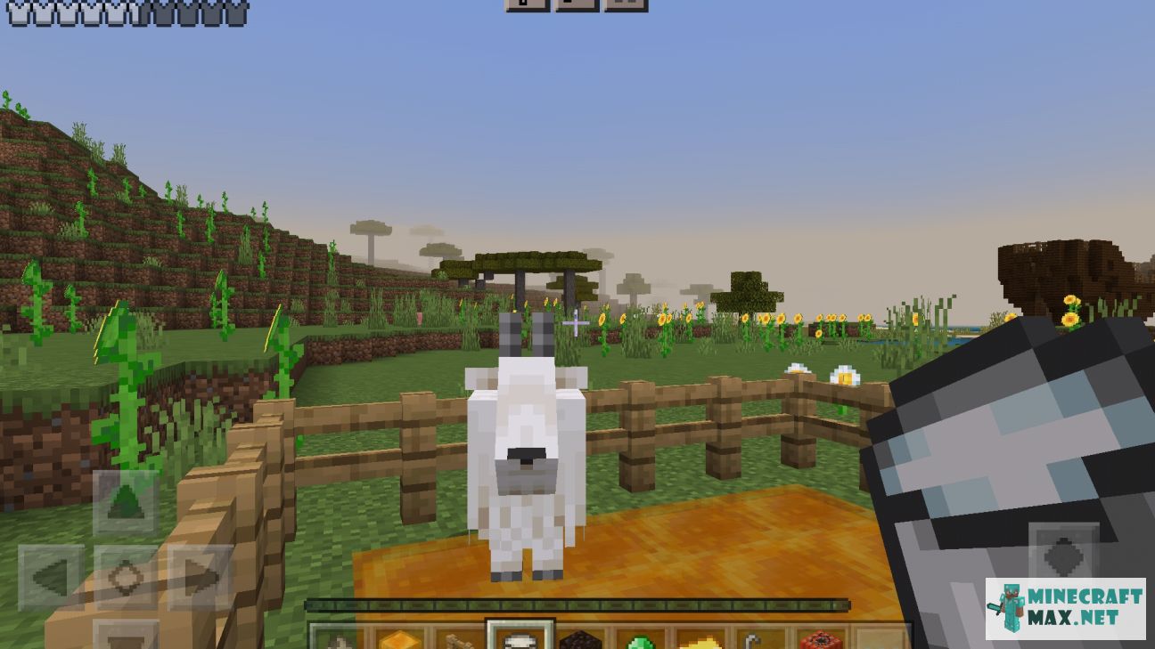 Veiciet uzdevumu Подоить козу programmā Minecraft | Screenshot 6