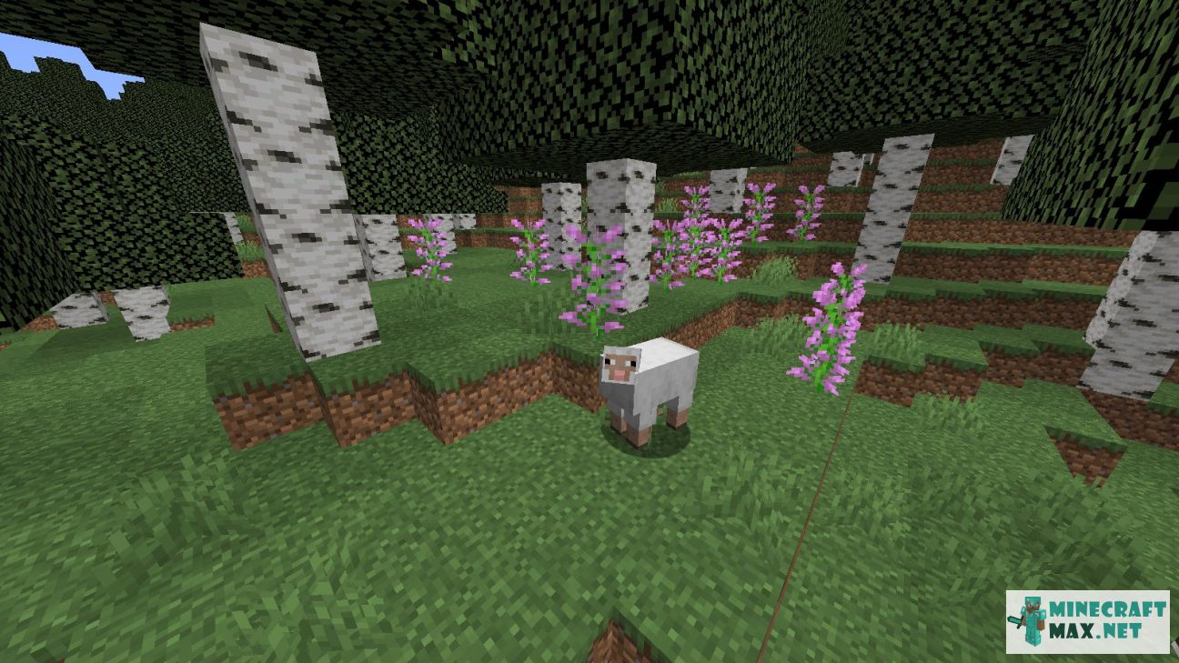 Modem in Minecraft | Screenshot 1066