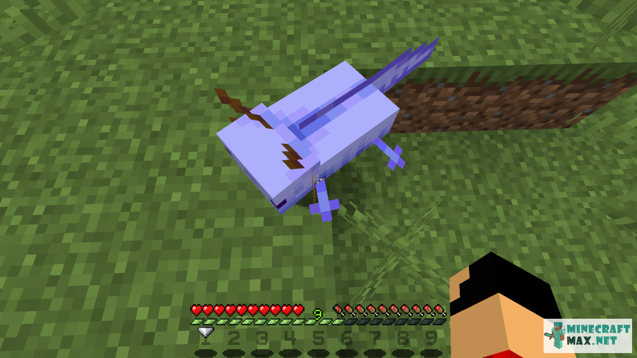 Quests Find the blue axolotl for Minecraft | Screenshot 3