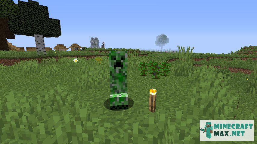 Black gem in Minecraft | Screenshot 688