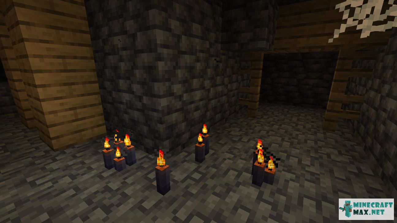 Black gem in Minecraft | Screenshot 3308