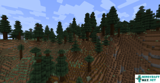 Giant Spruce Taiga in Minecraft
