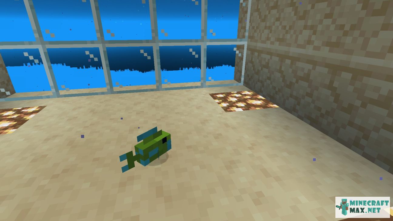 Queen Angelfish in Minecraft | Screenshot 1