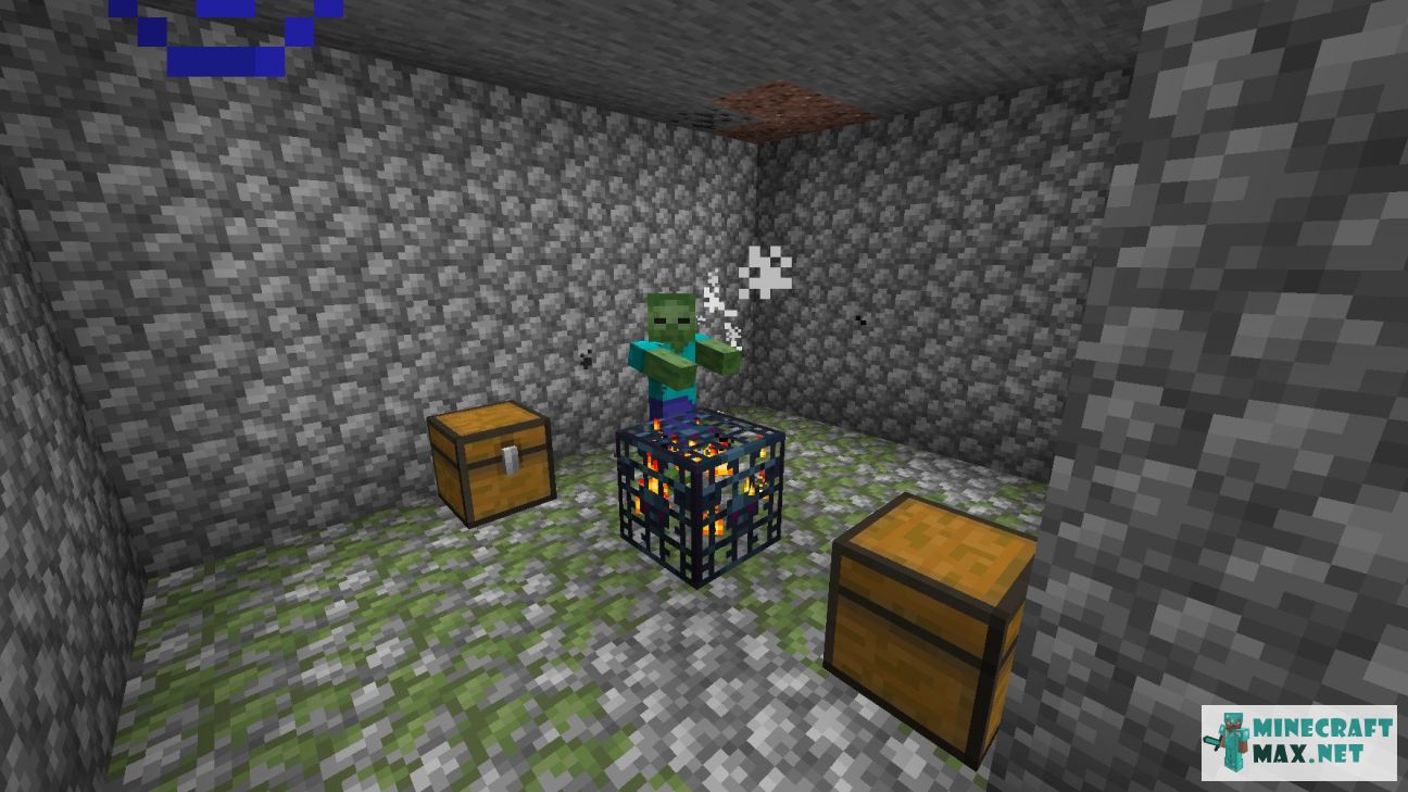Black gem in Minecraft | Screenshot 1332