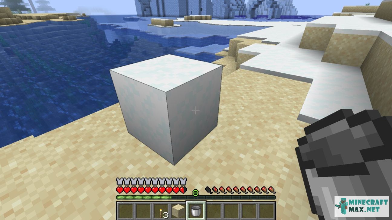 Black gem in Minecraft | Screenshot 3459