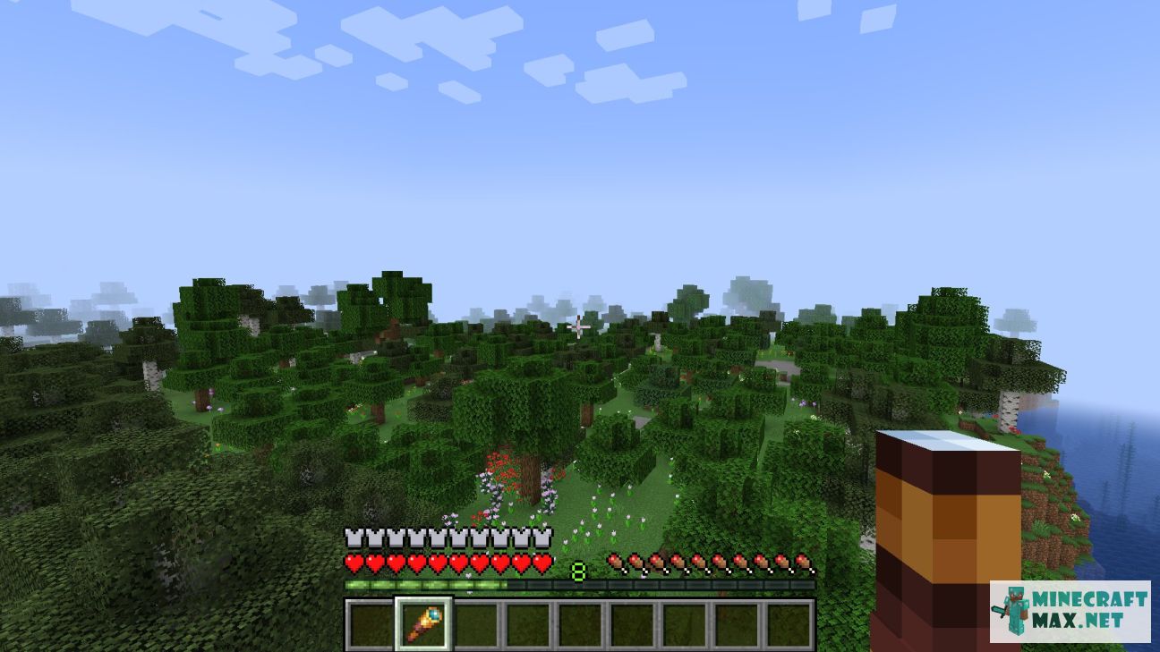 Spyglass in Minecraft | Screenshot 1