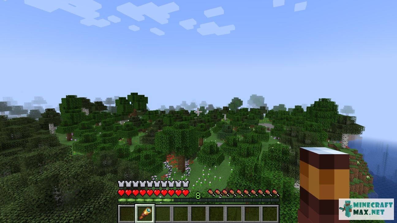 Modem in Minecraft | Screenshot 3459