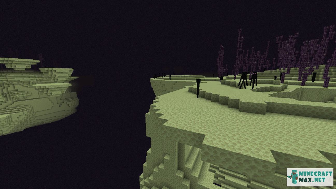 Black gem in Minecraft | Screenshot 3532