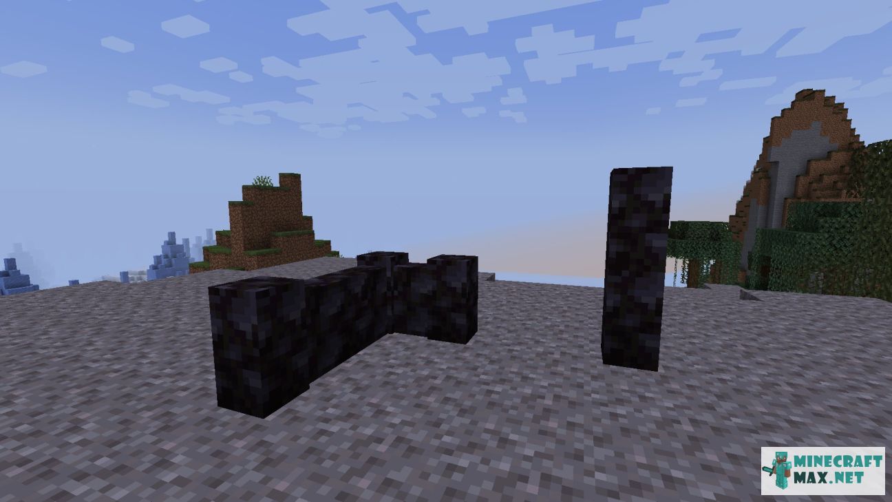 Black gem in Minecraft | Screenshot 2856