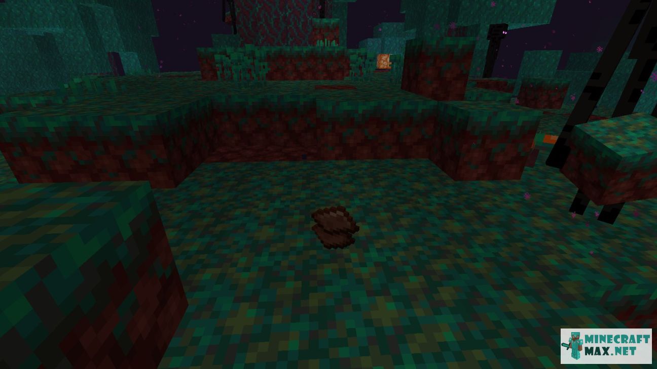 Black gem in Minecraft | Screenshot 2103