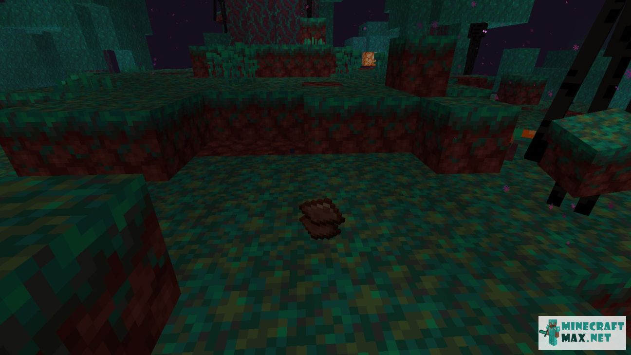 Modem in Minecraft | Screenshot 2103