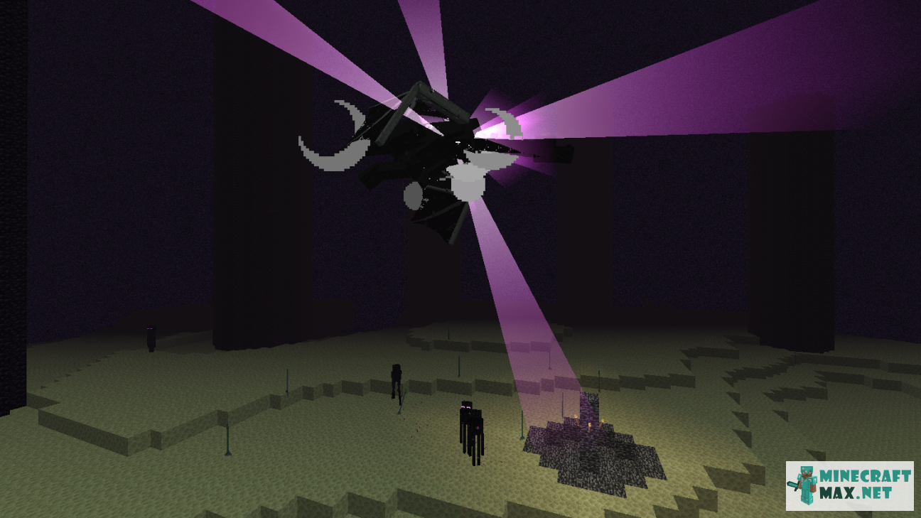 Black gem in Minecraft | Screenshot 974