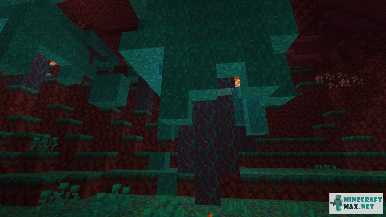 Black gem in Minecraft | Screenshot 3013