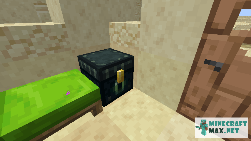 Black gem in Minecraft | Screenshot 581