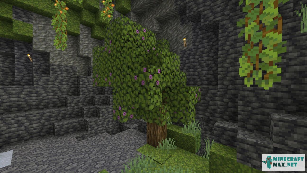Modem in Minecraft | Screenshot 3672