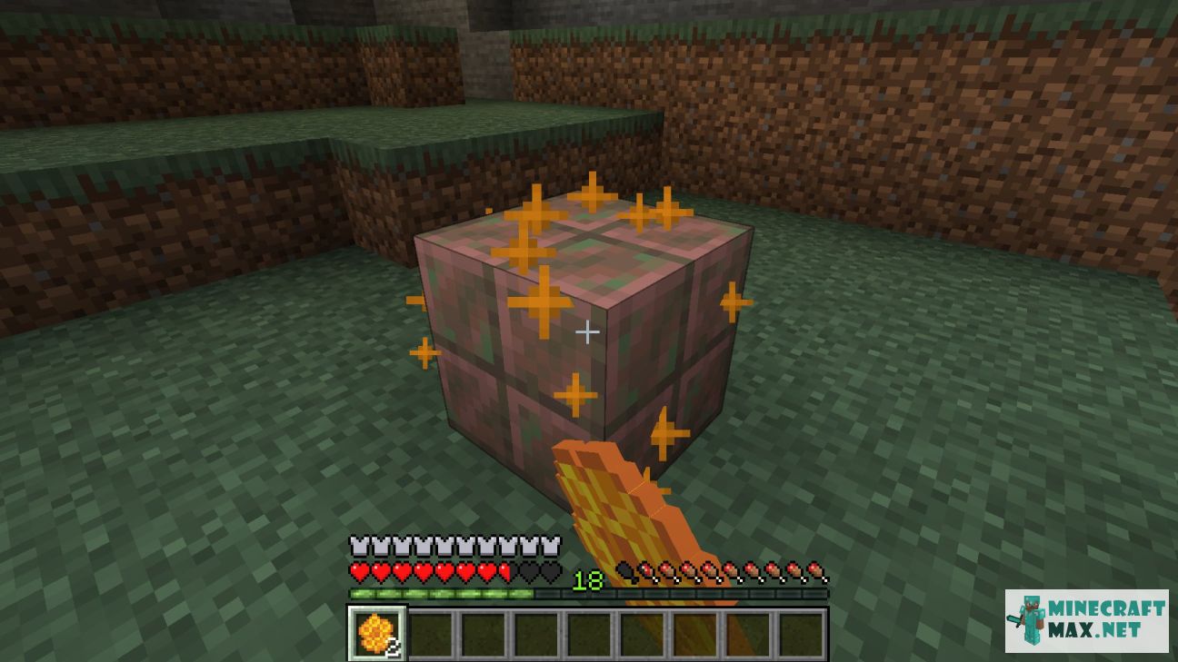 Black gem in Minecraft | Screenshot 3377