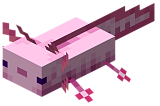 Baby Axolotl in Minecraft
