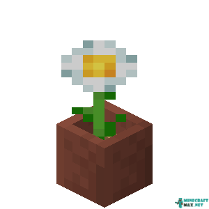 Potted Oxeye Daisy in Minecraft