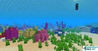 Warm Ocean in Minecraft