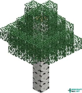Birch (tree) in Minecraft