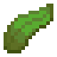 Kelp in Minecraft