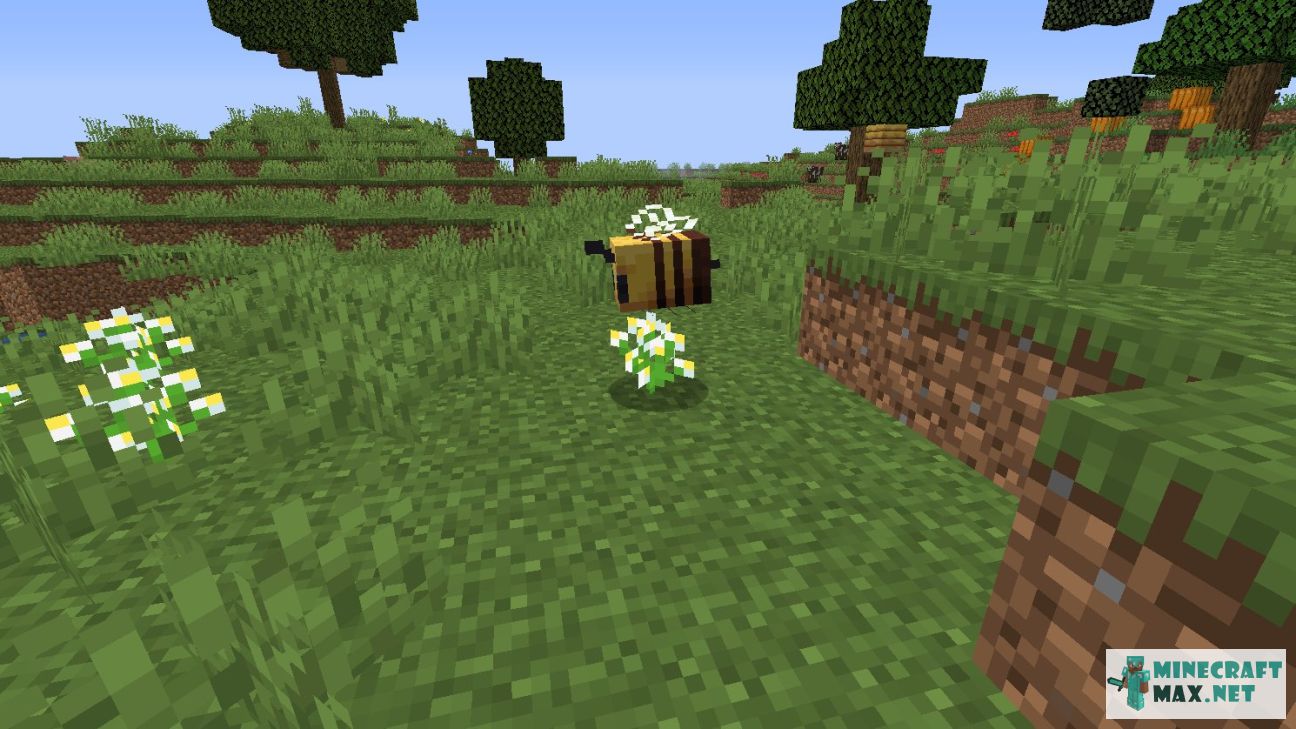 Modem in Minecraft | Screenshot 1125