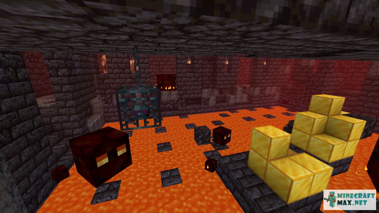 Black gem in Minecraft | Screenshot 3683