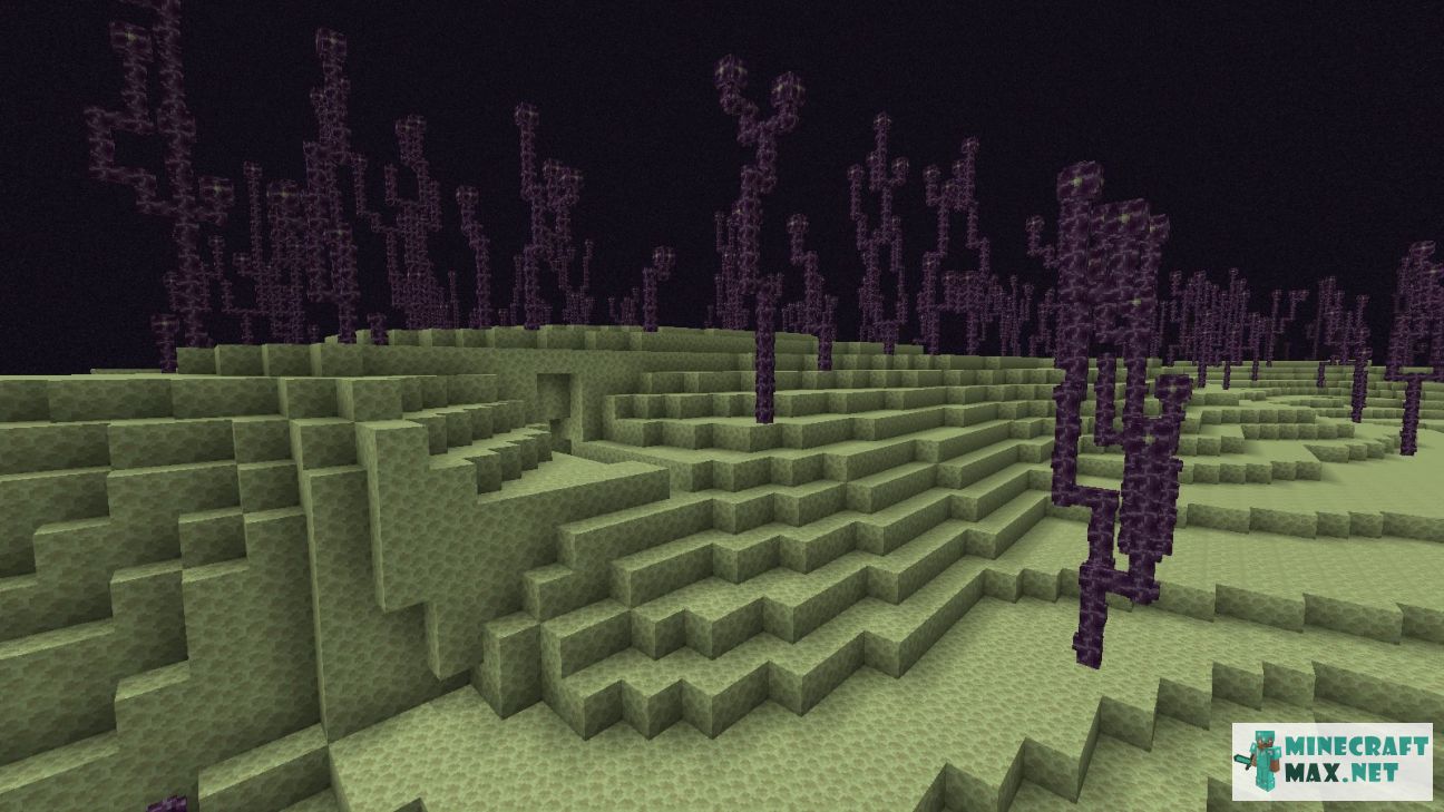 Black gem in Minecraft | Screenshot 3535