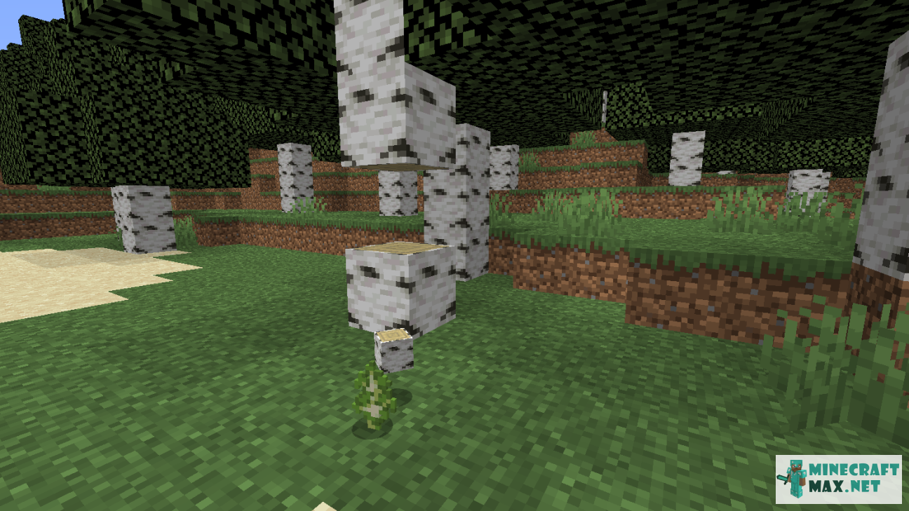 Modem in Minecraft | Screenshot 963