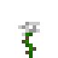 White Rose in Minecraft