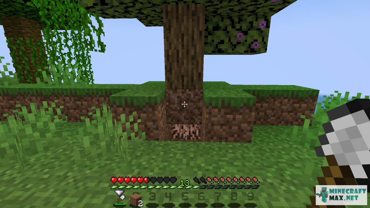 Veiciet uzdevumu Найти корни под деревом азалии programmā Minecraft | Screenshot 2
