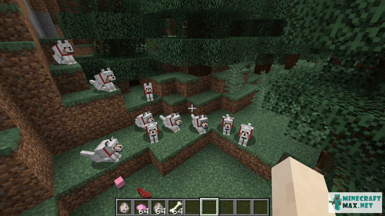 Quests Tame a pack of 10 or more wolves for Minecraft | Screenshot 6