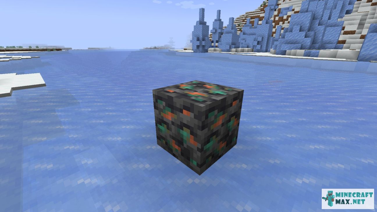 Black gem in Minecraft | Screenshot 3341