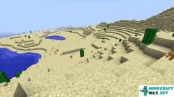 Desert in Minecraft