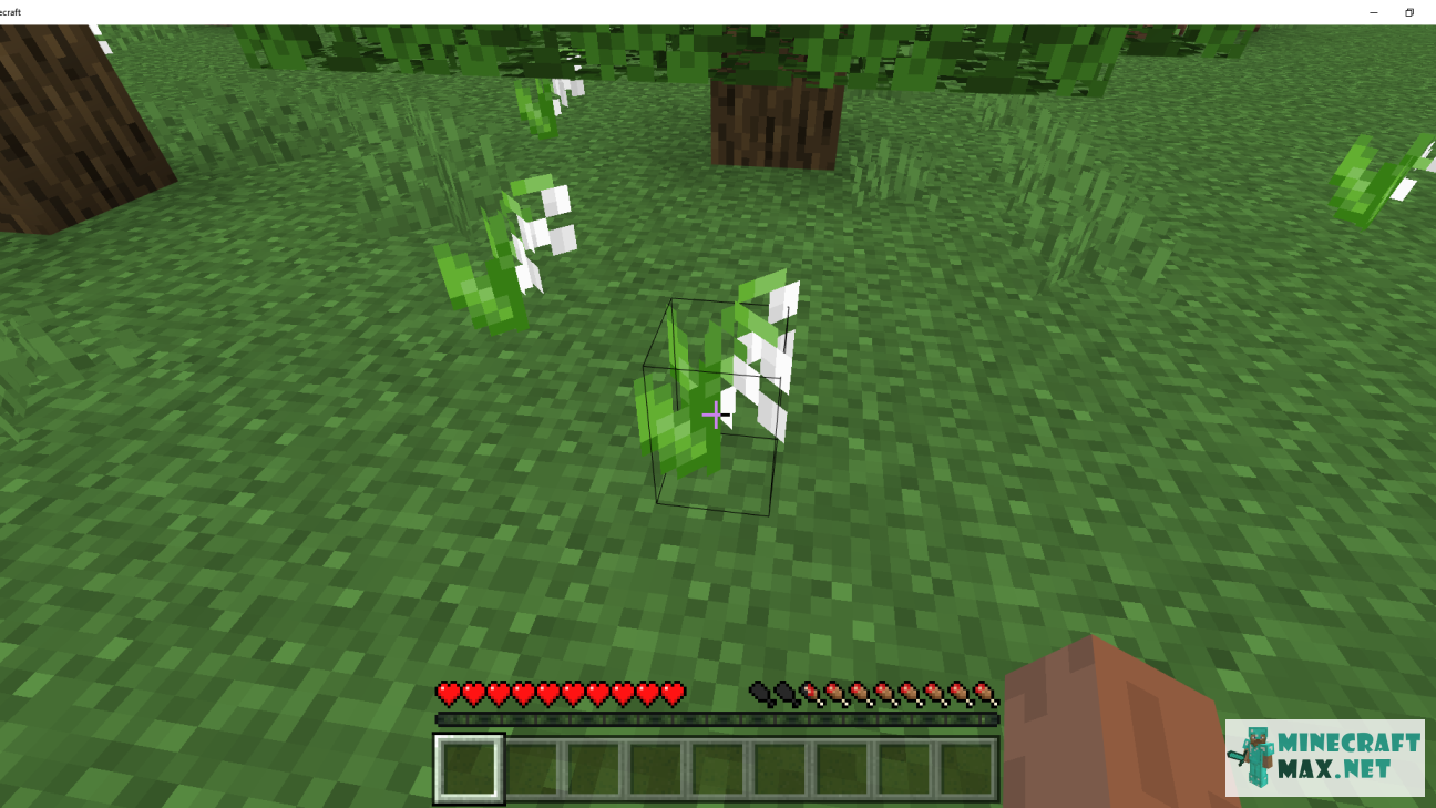 Veiciet uzdevumu Найти цветок ландыша programmā Minecraft | Screenshot 3