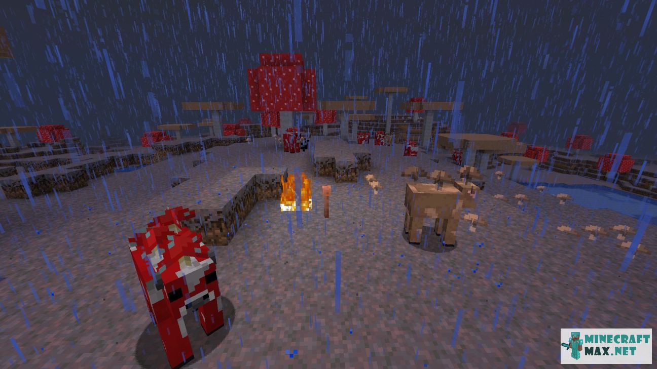 Modem in Minecraft | Screenshot 1084