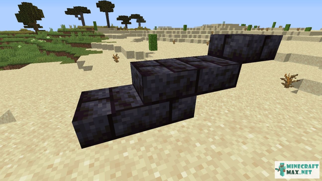 Black gem in Minecraft | Screenshot 2923