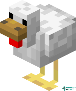 Chicken | How to craft chicken in Minecraft | Minecraft Wiki